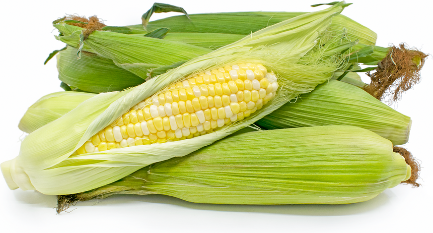 Corn 