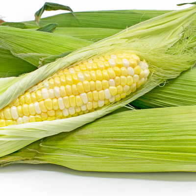 Corn