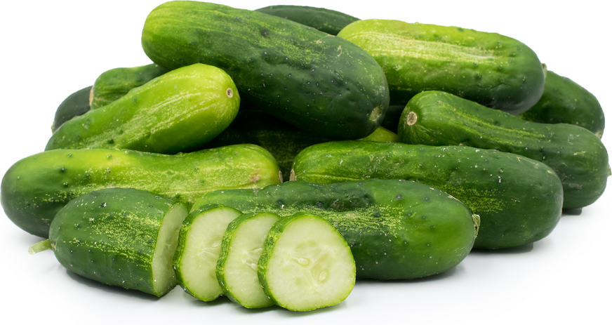 Cucumber Shamsi - Image 1