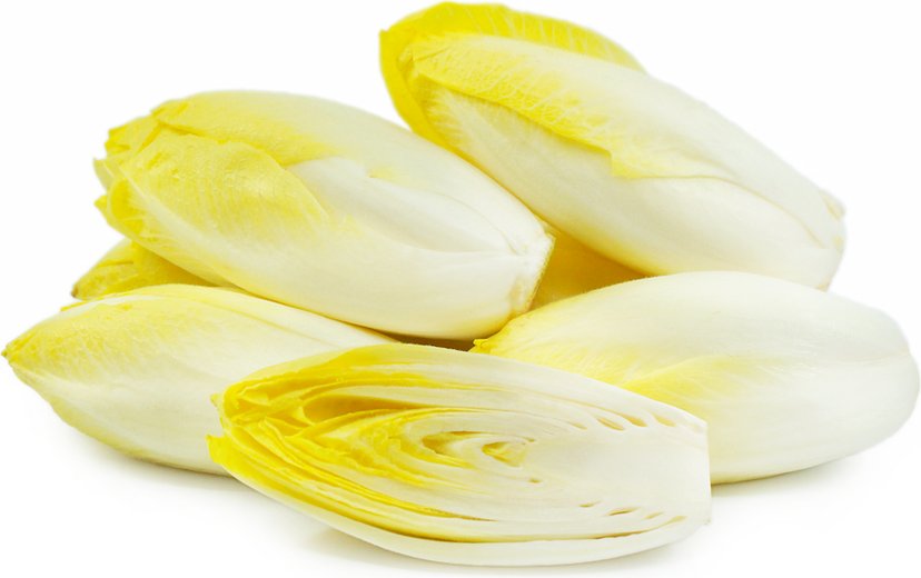 Endive 