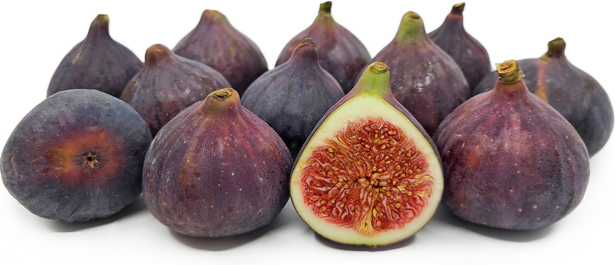 Fig