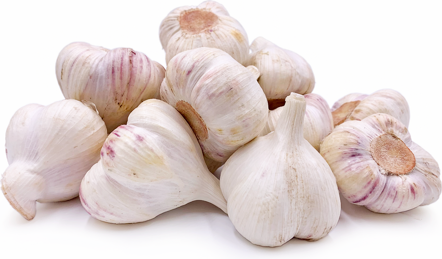 Garlic Baladi - Image 1