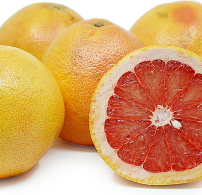 جريفون أحمر