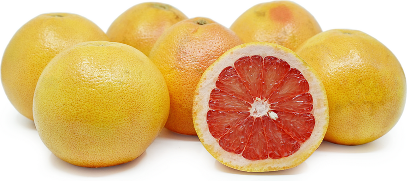 Grapefruit Red