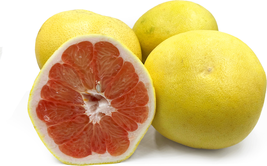 Pomelo Red