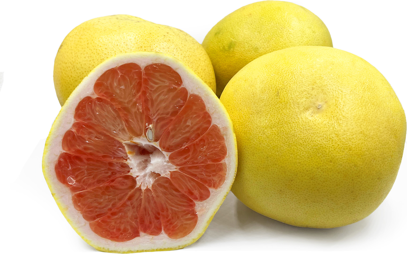 Pomelo Red