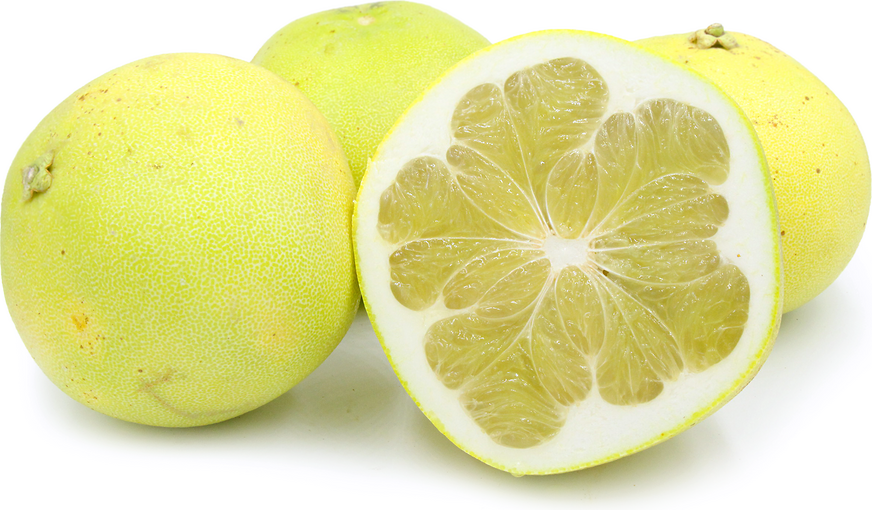 Pomelo White - Image 1