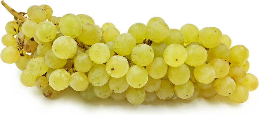 Grapes