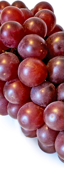Grapes Red Globe