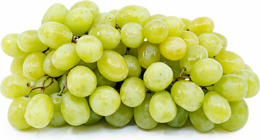Grapes White Seedless
