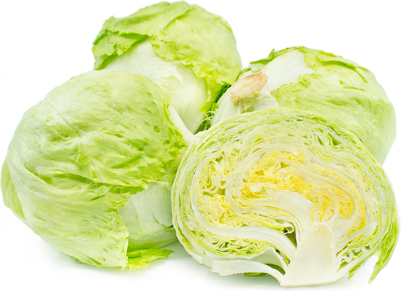 Lettuce Iceberg