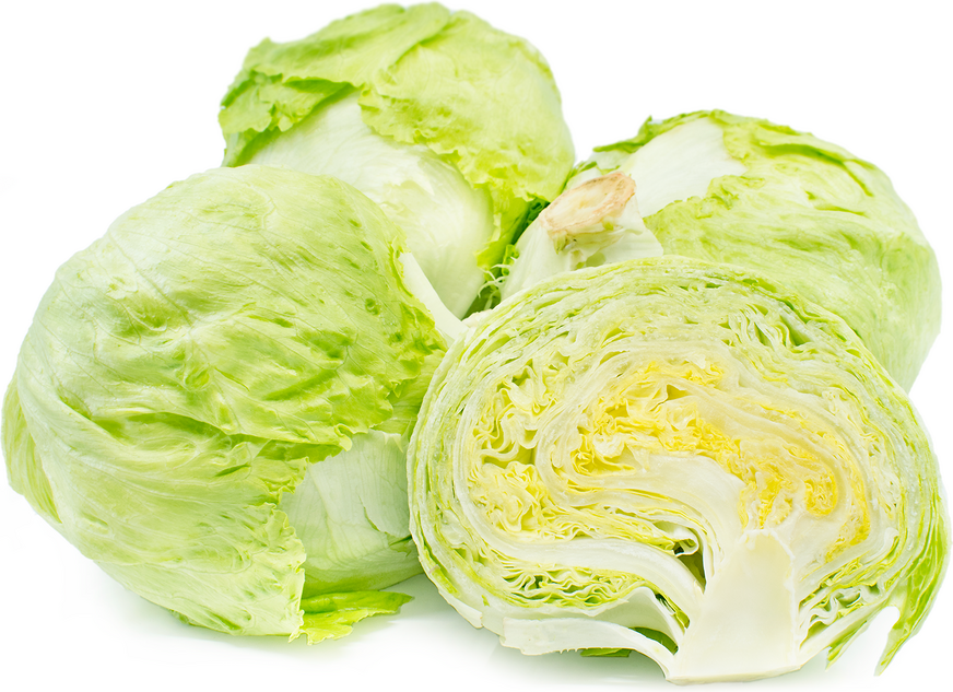 Lettuce Iceberg