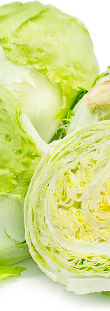 Lettuce Iceberg