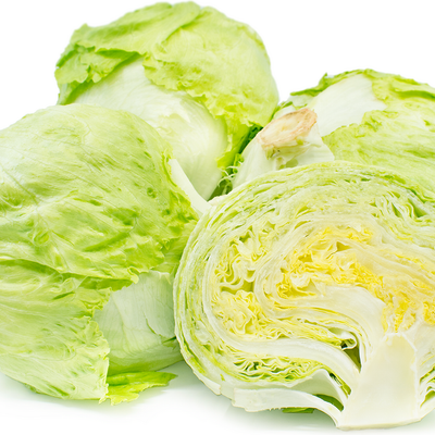 Lettuce Iceberg