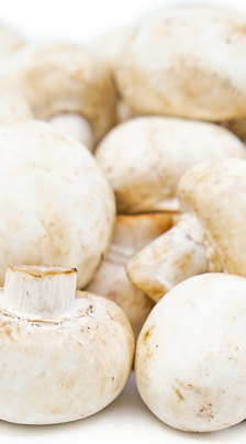 Mushroom White Button