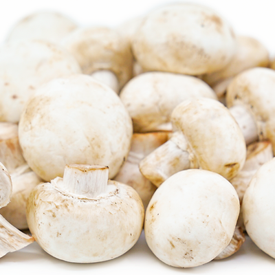 Mushroom White Button