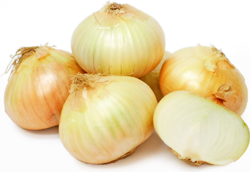 Onions Baladi