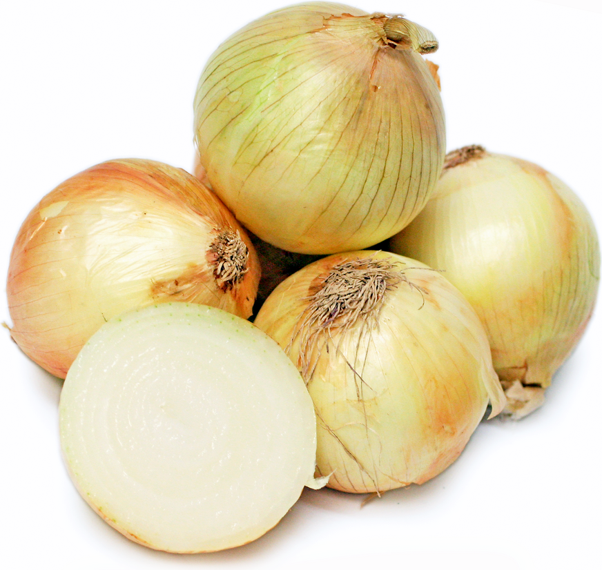 Onions Egyptian