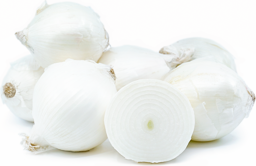 Onions White