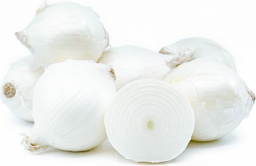 Onions White
