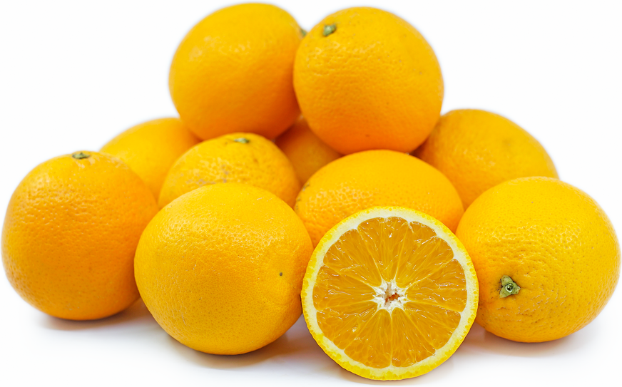 Orange Valencia