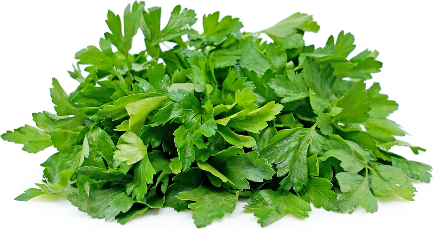 Parsley  - Image 1