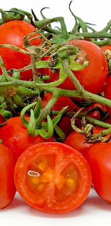 بندورة معلقة