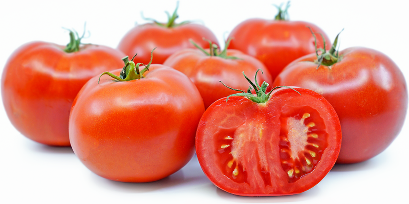 Tomato