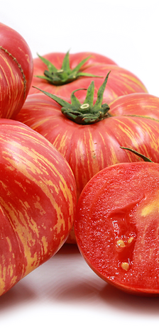 بندورة جبلية