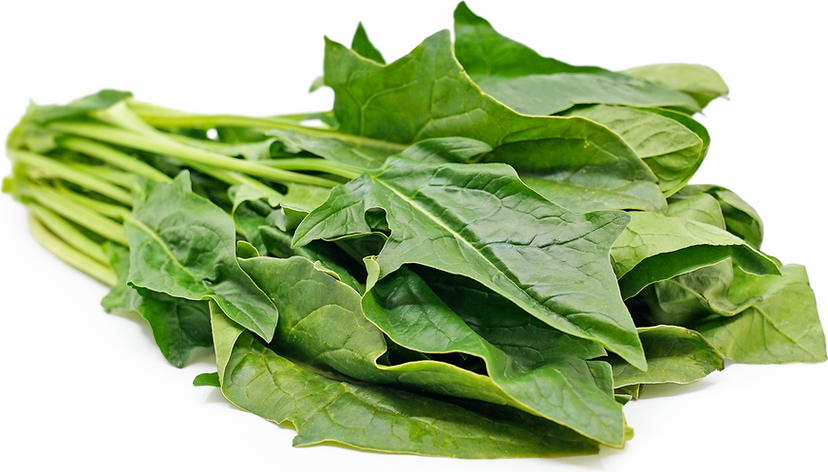 Spinach 