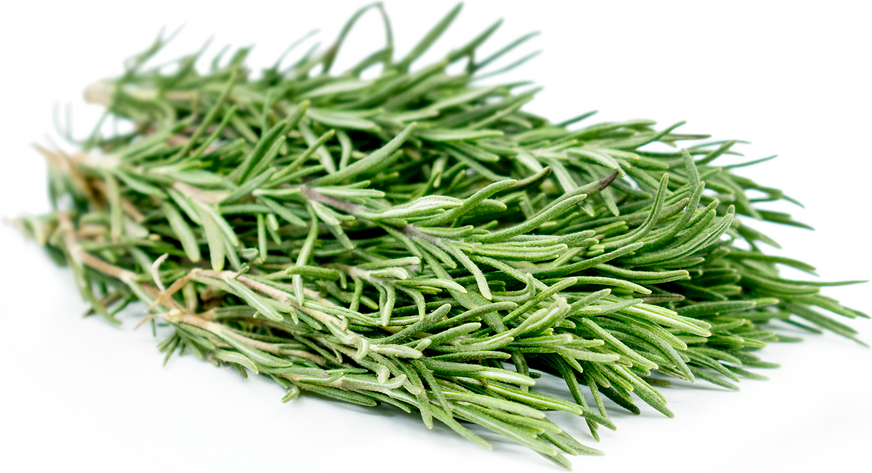 Rosemary 