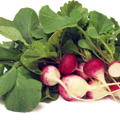 Radish