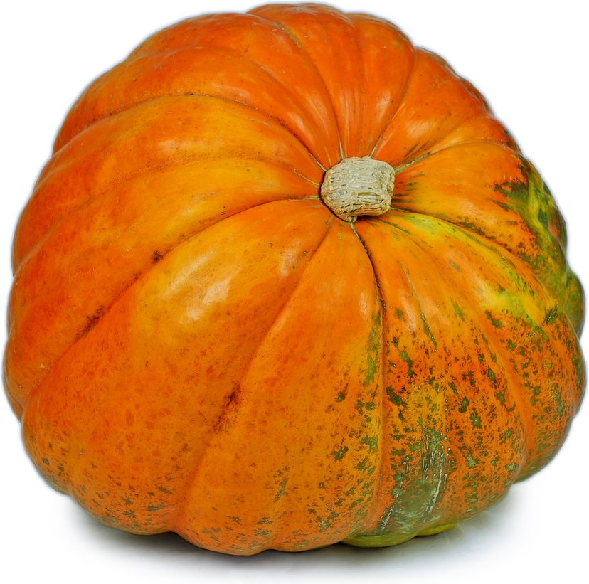 Pumpkin 
