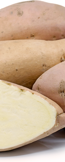 بطاطا حلوه بيضا