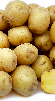 بطاطا مستورد