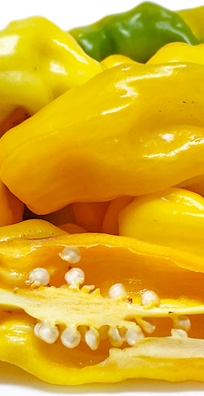 فليفله حلوه صفرا