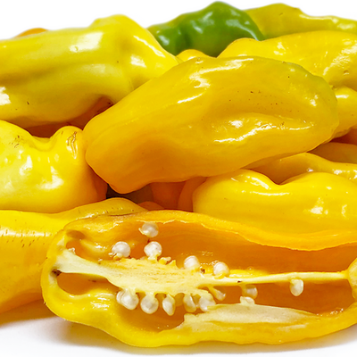 Pepper Bell Yellow