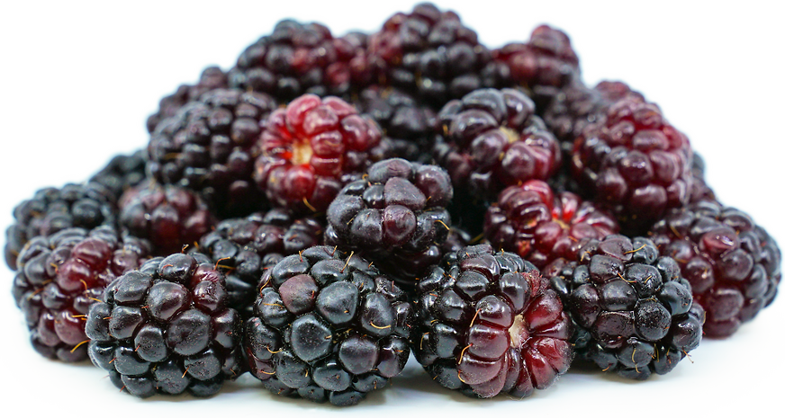 بلاكبيري بلدي