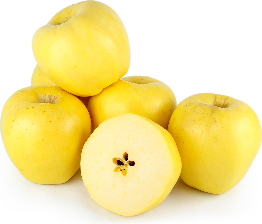 Apple Yellow - Image 1