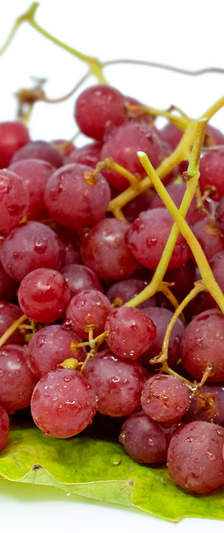 Grapes Scarlet