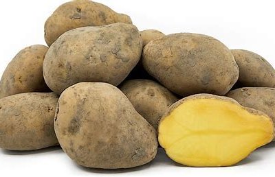 Potato Agria