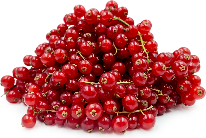 Currant