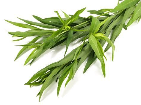 استراغون  - Image 1