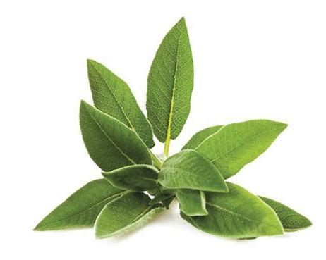 غار صاج - Image 1