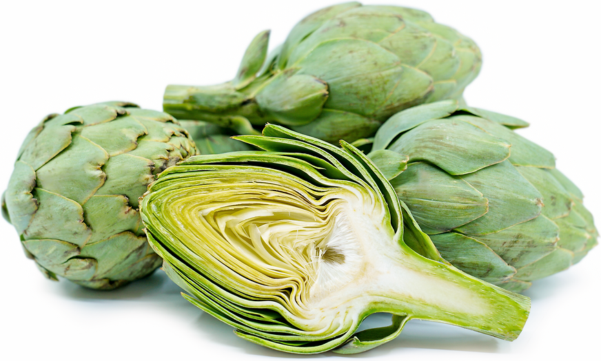 Artichoke 