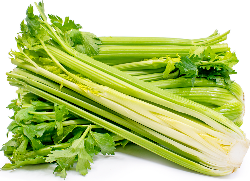 Celery  - Image 1
