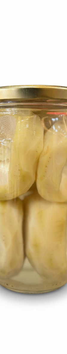 بلدي أرضي شوكي