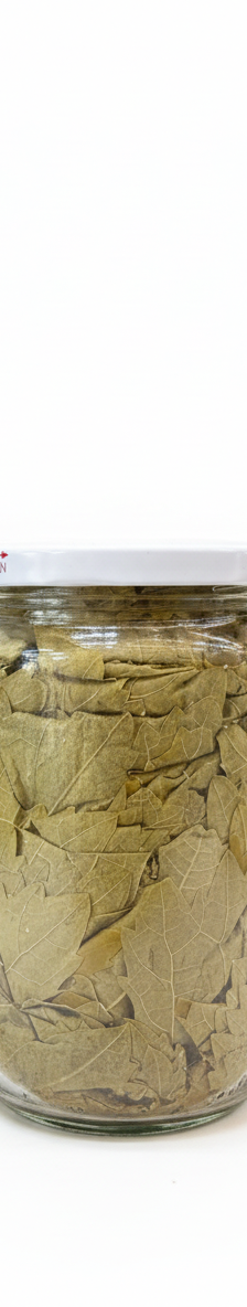 بلدي ورق عريش