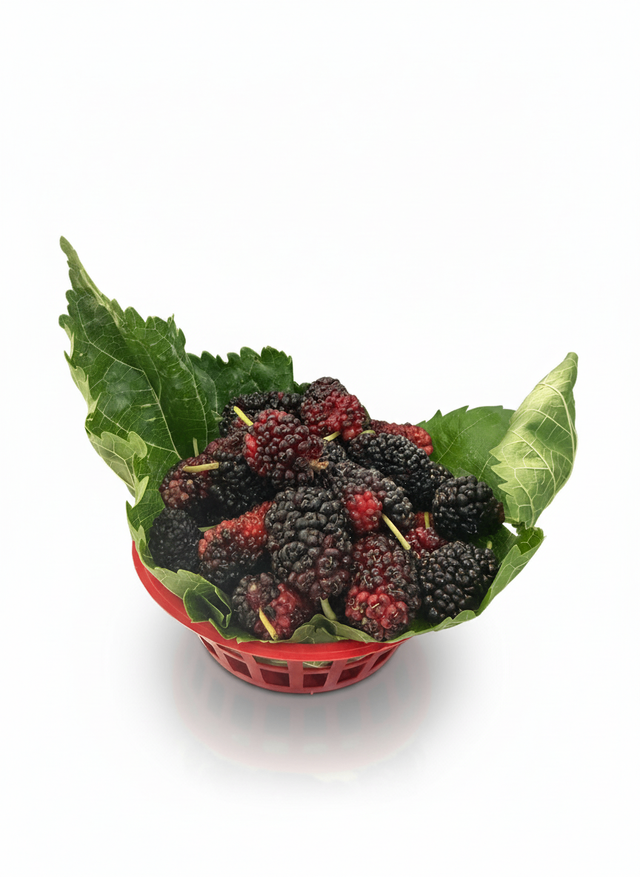 بلاكبيري بلدي