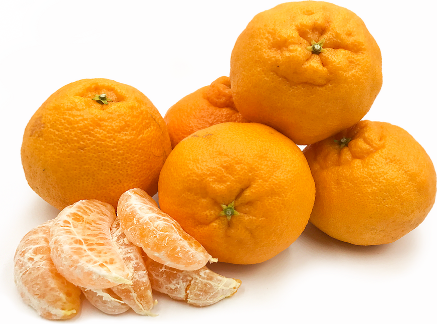 Clementine Seedless - Image 1